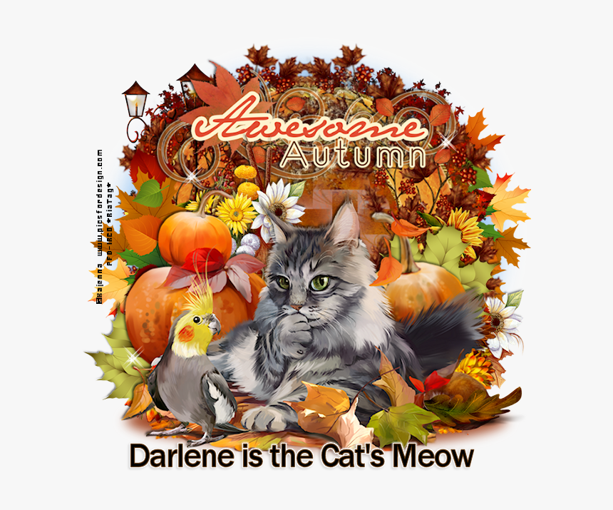 Darlene Is The Cat S Meow Co - Thanksgiving, HD Png Download
