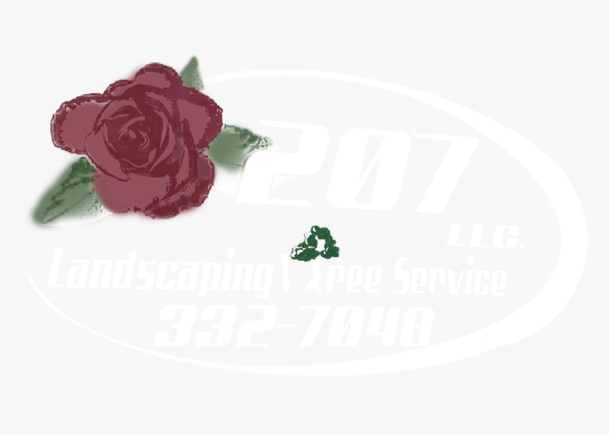 Fire Wood Png, Transparent Png