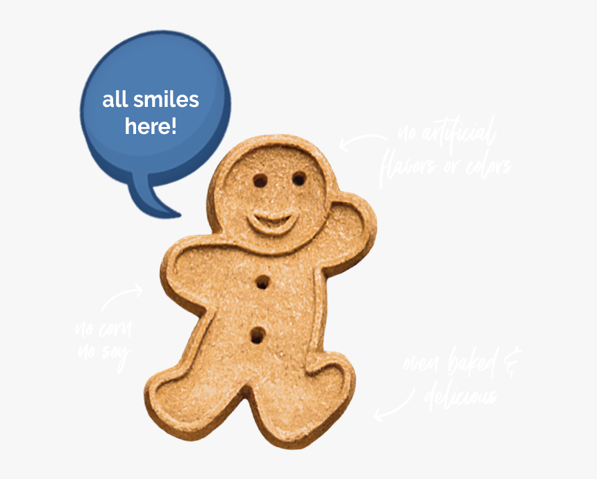 Buddy Biscuit Features - Buddy Biscuits, HD Png Download