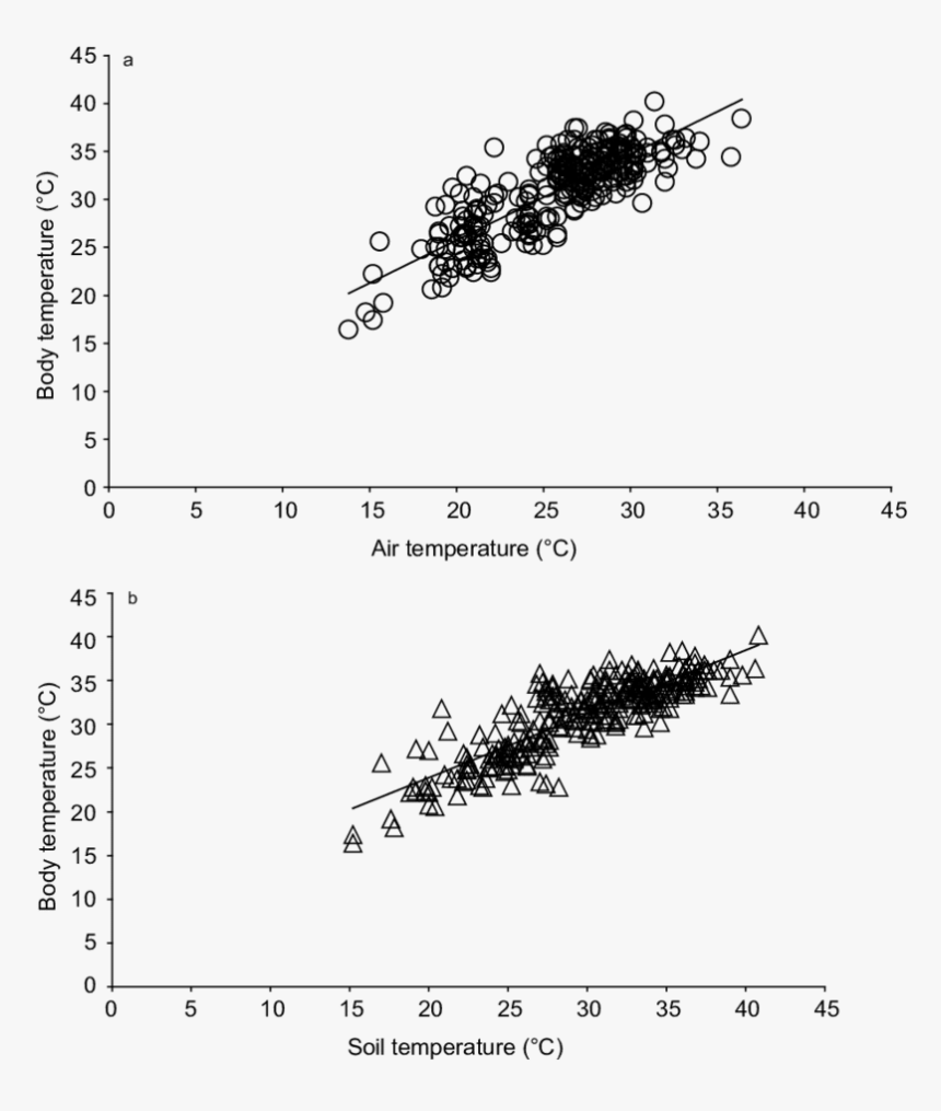 Diagram, HD Png Download