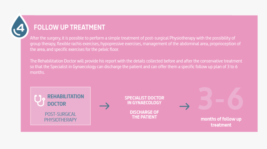 Document, HD Png Download