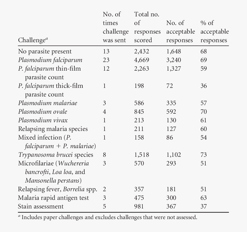 Document, HD Png Download