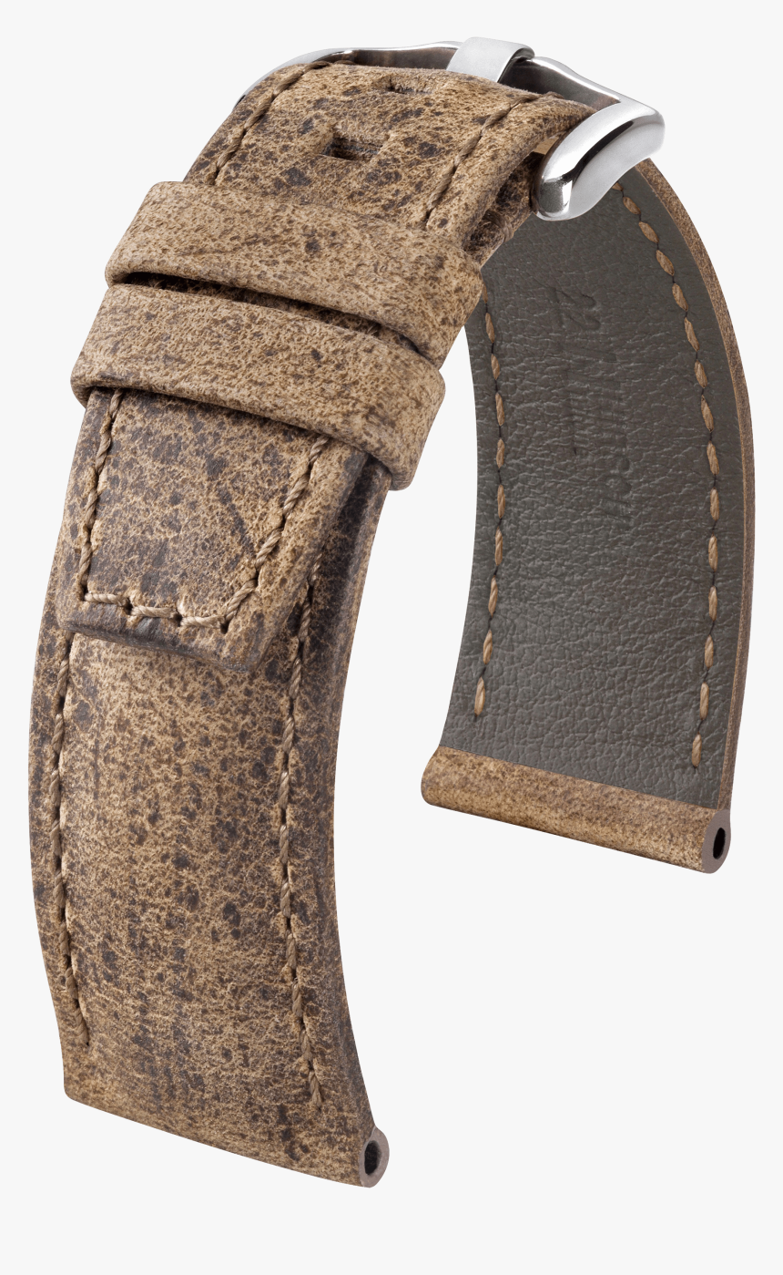 Hirsch Tritone Kudu, HD Png Download