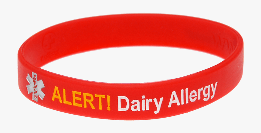 Bracelet, HD Png Download