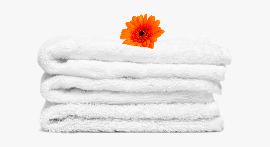 Austin Linen Service - Barberton Daisy, HD Png Download