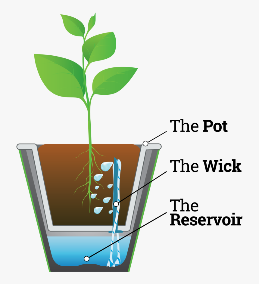 Infograph Waterwick - Graphic Design, HD Png Download