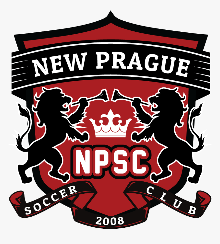 Npsc Logo 2019-3 - Fragile This Side Up, HD Png Download