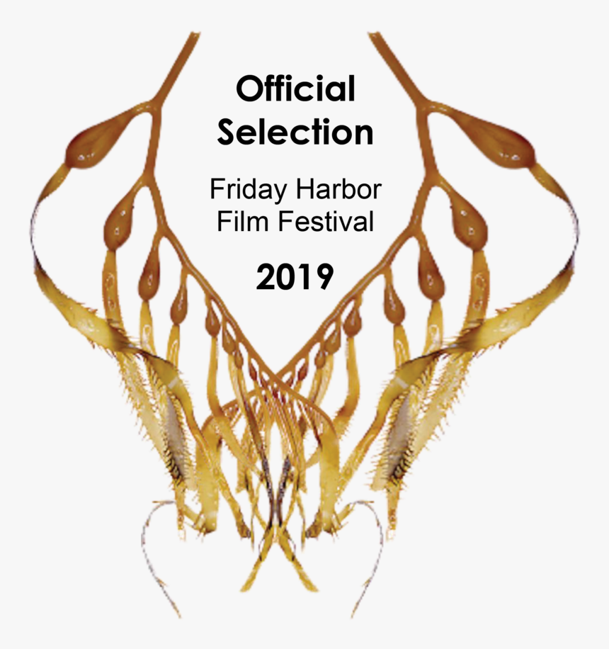 Eue-kelplaurel - Friday Harbor Film Festival 2018, HD Png Download