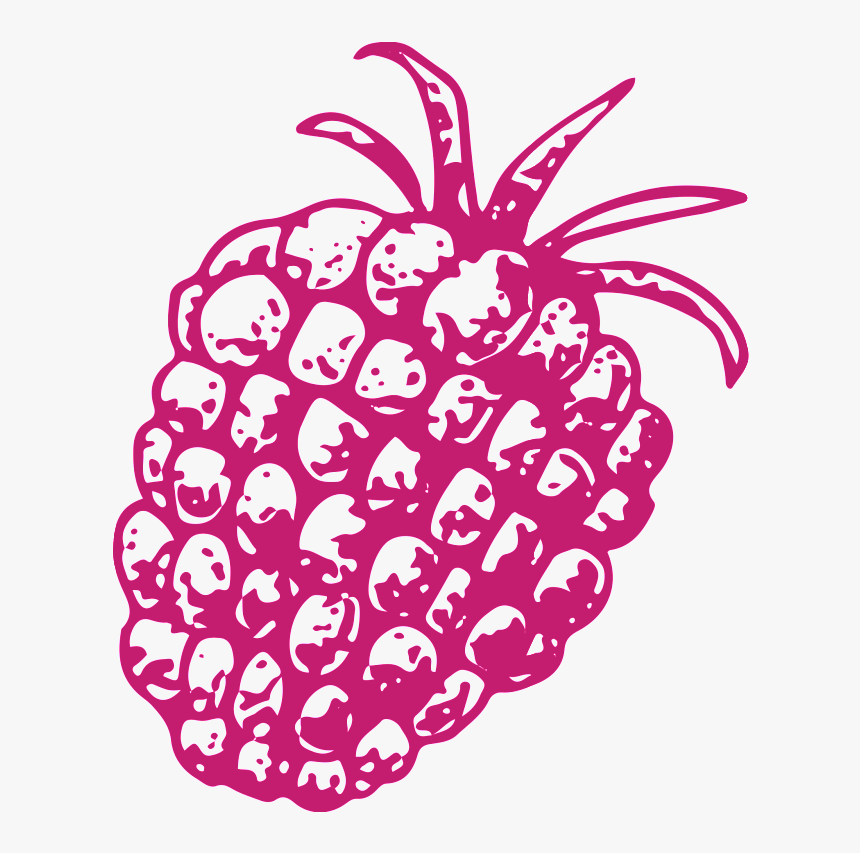 Hand Drawn Pineapple Transparent Vegetables, HD Png Download