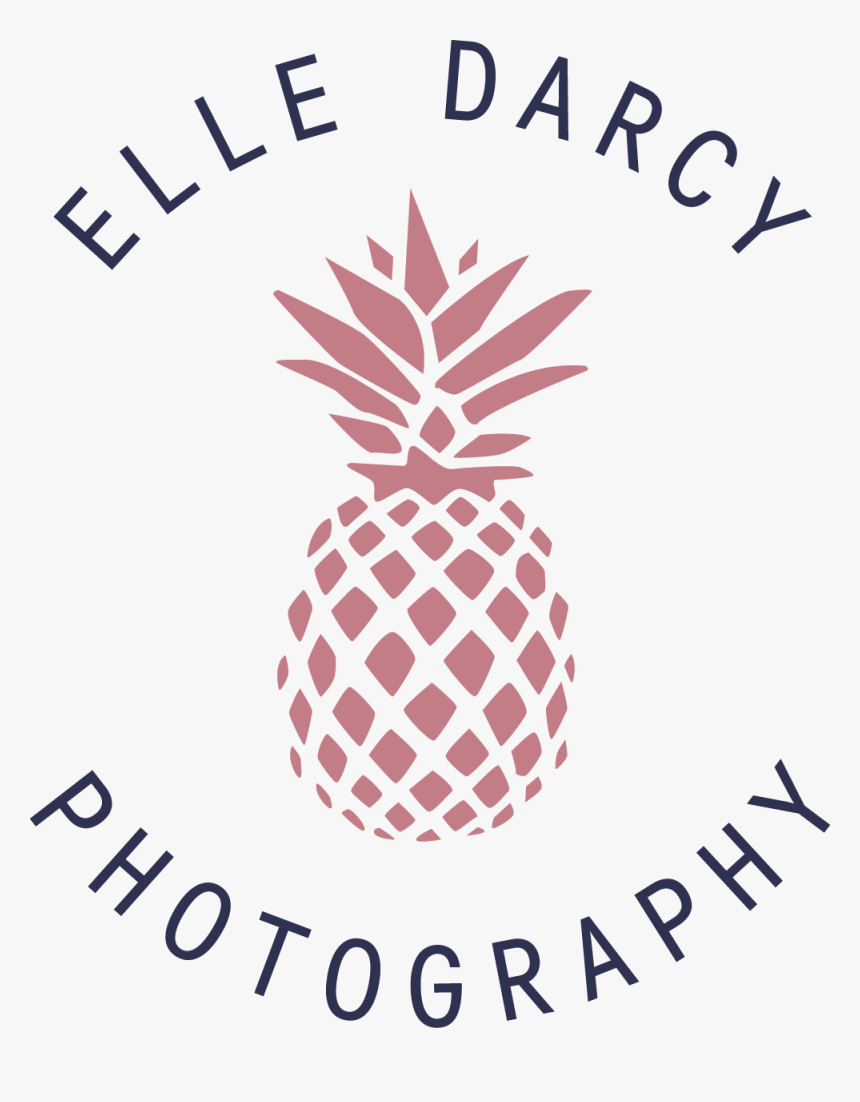 Elledarcy Circular Twocolor - Blue Pineapple, HD Png Download