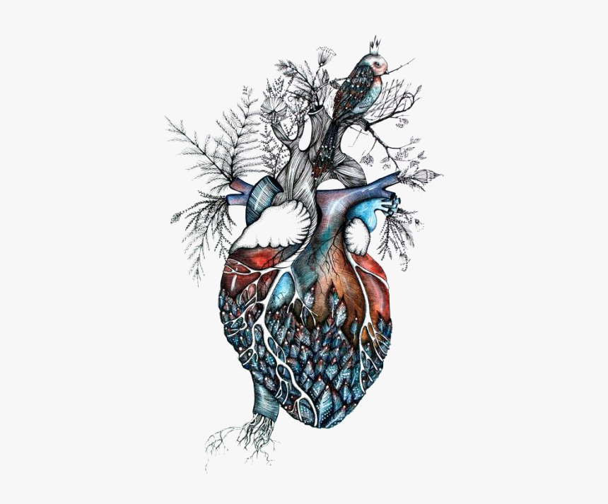 #heart #surreal - Anatomical Heart And Bird, HD Png Download