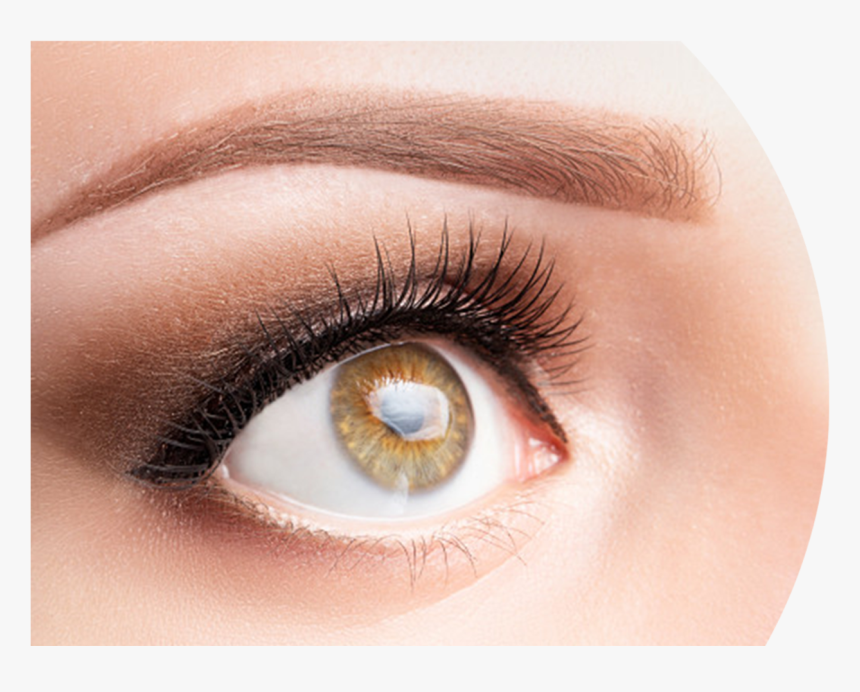 Cejas Cafes Claro, HD Png Download