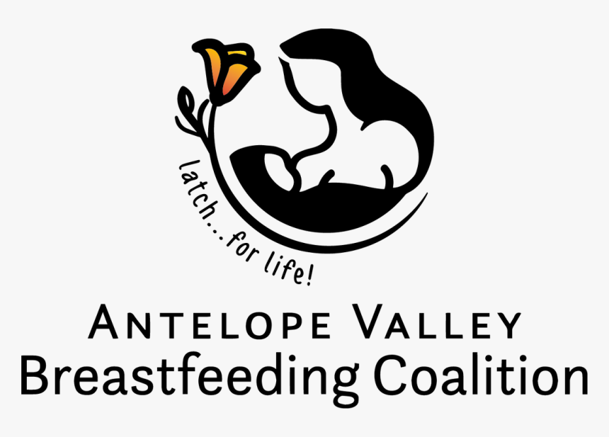 Picture - Graphic Design, HD Png Download