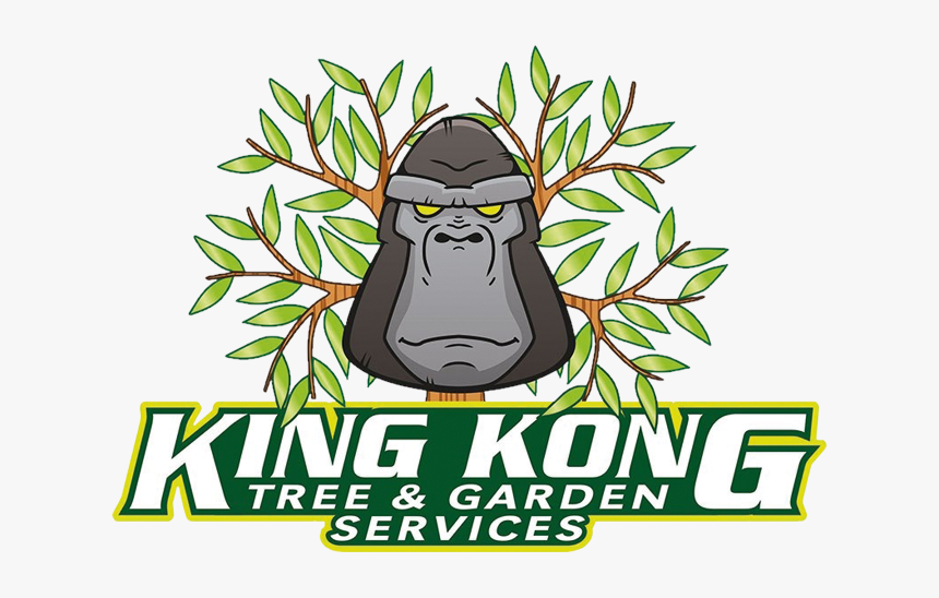 Old World Monkey, HD Png Download