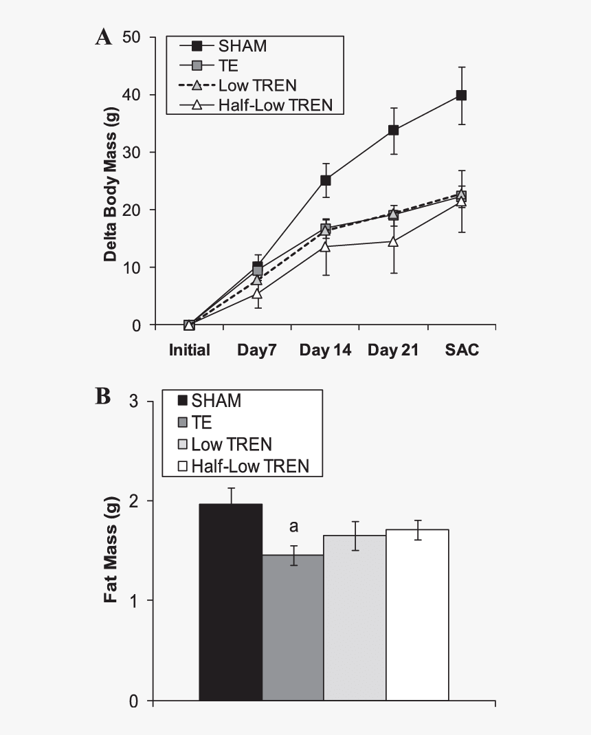 Dose Dependent Gains Testosterone Supraphysiological, HD Png Download