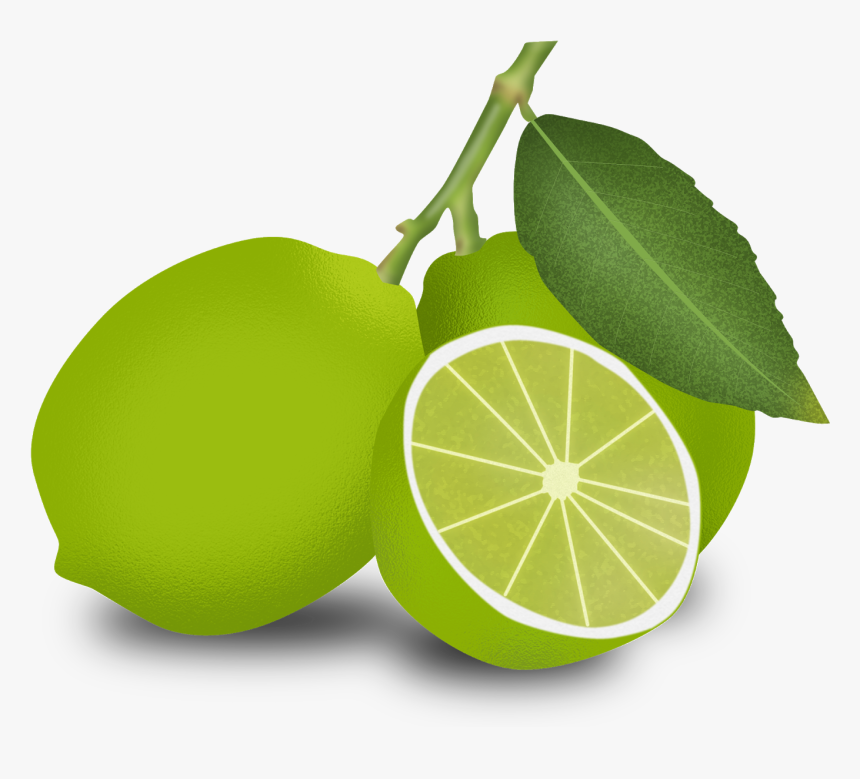 Dibujo Limones, HD Png Download