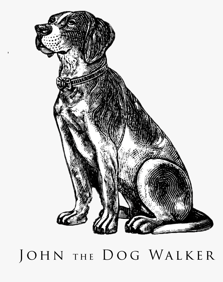 Drawings Of Sitting Puppy, HD Png Download