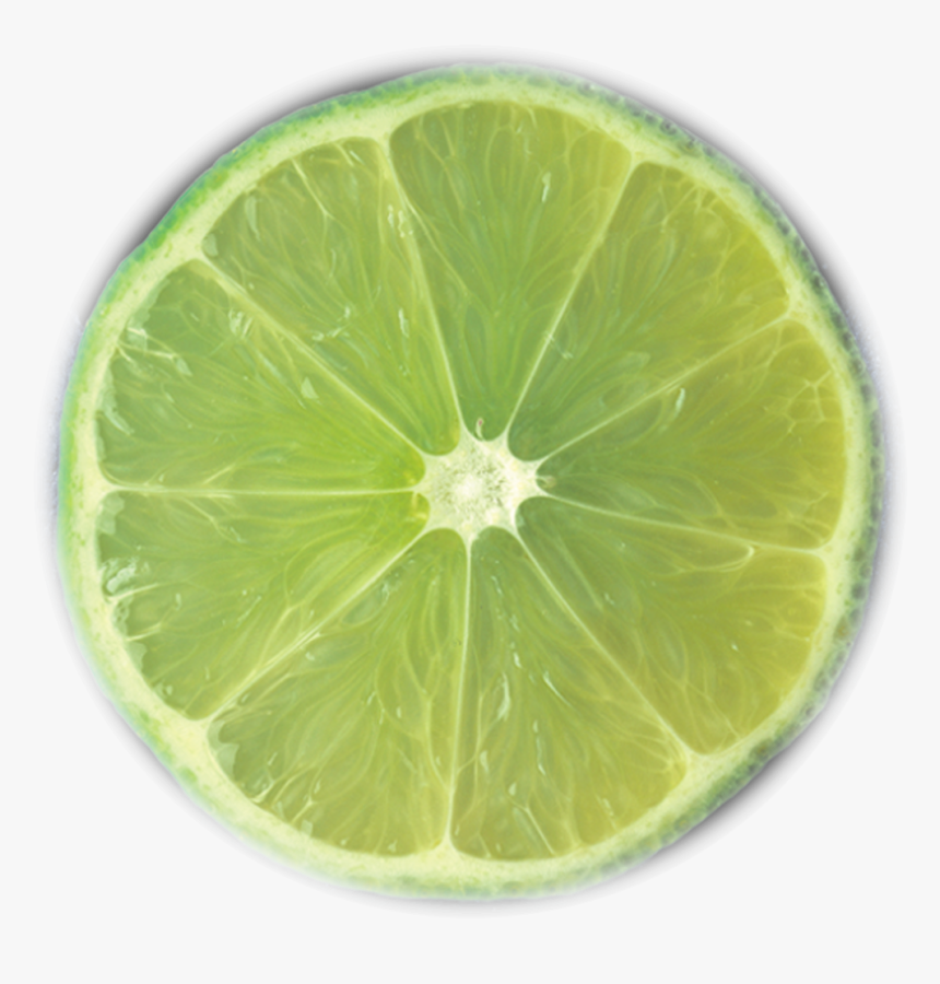 Key Lime, HD Png Download