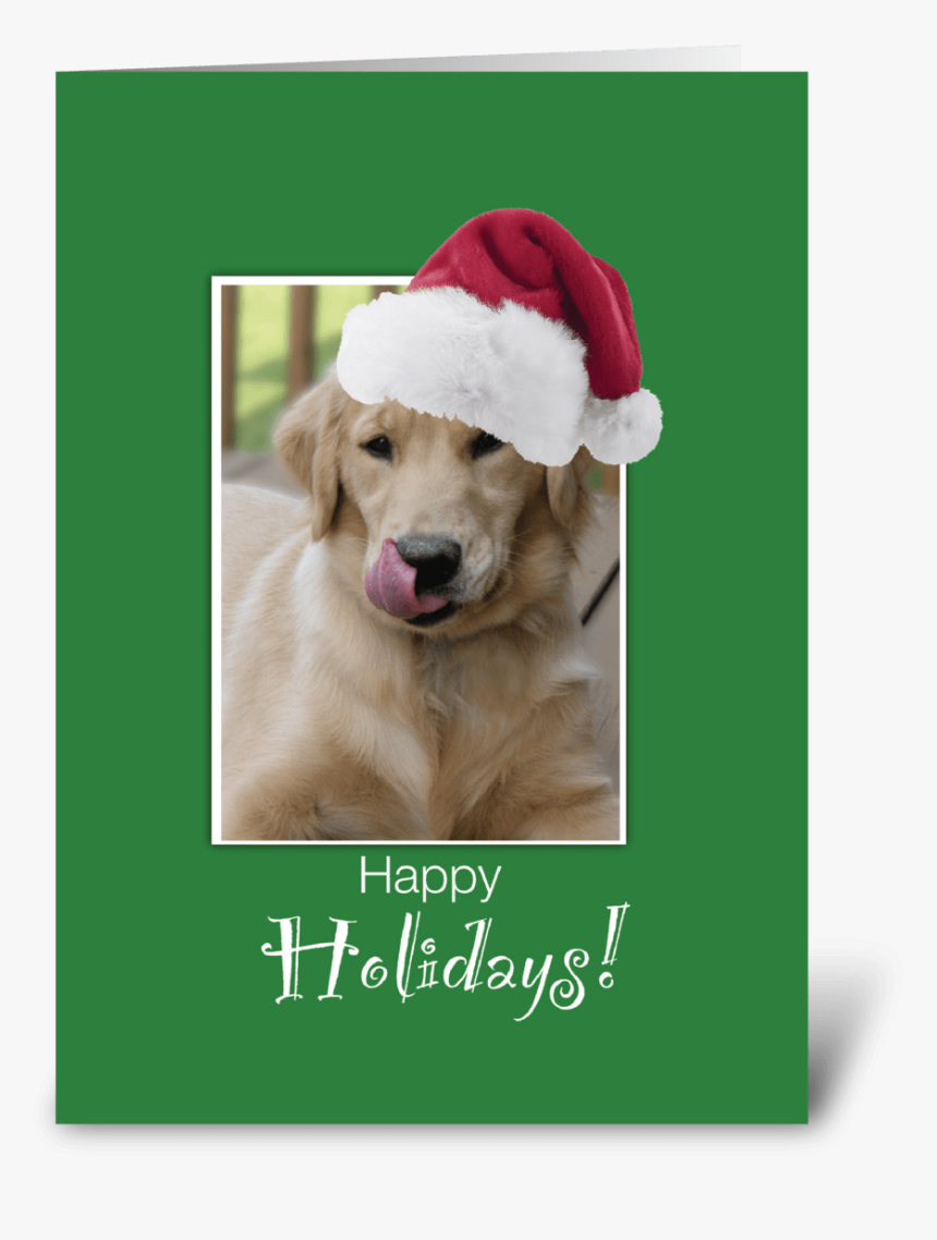 To Dog Walker At Christmas, Retriever Greeting Card - Happy Holidays Dog Gif, HD Png Download