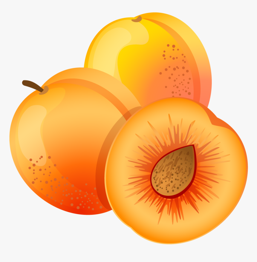 Apricot Clipart Png, Transparent Png