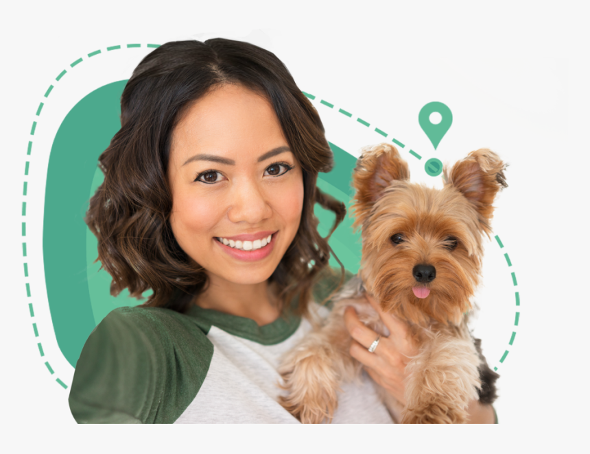 Dog Walker In Nyc - Yorkshire Terrier, HD Png Download