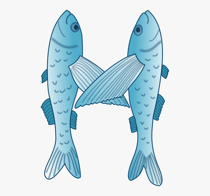 Fish Letter M, HD Png Download