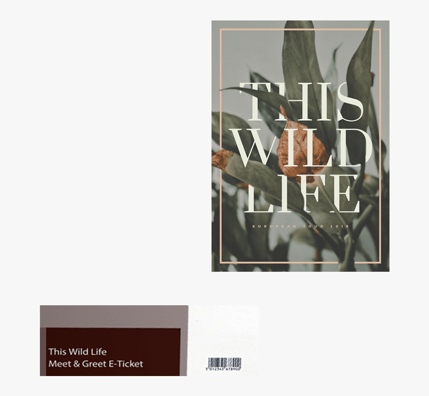 Graphic Design, HD Png Download