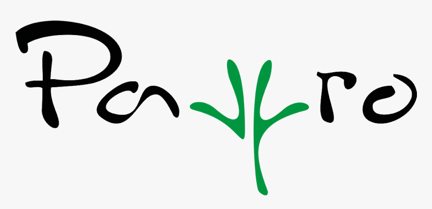 Pavyro - Dj Pino, HD Png Download