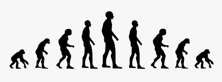 Evolution Zombie, HD Png Download