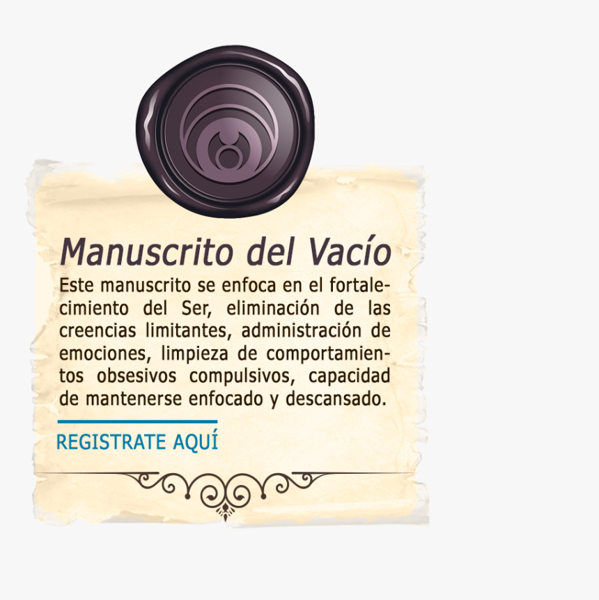 Snail, HD Png Download