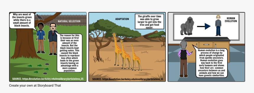 Giraffe, HD Png Download