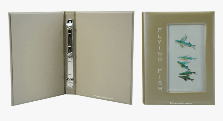 Tree Frog, HD Png Download