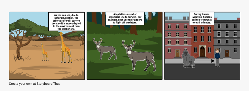 Storyboard, HD Png Download