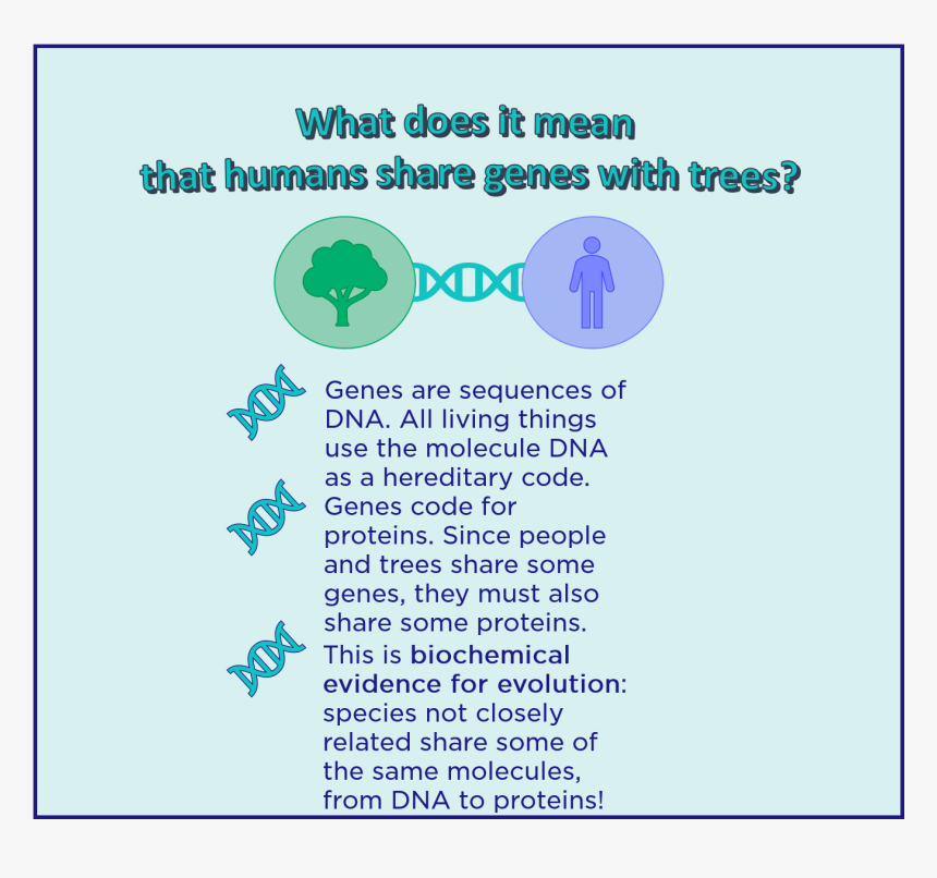 Screenshot, HD Png Download