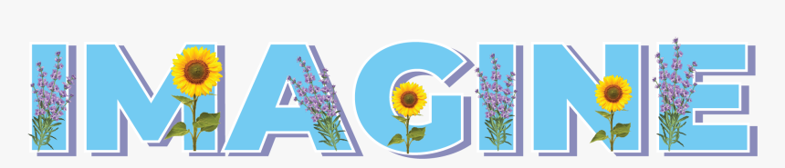 Graphic Design, HD Png Download