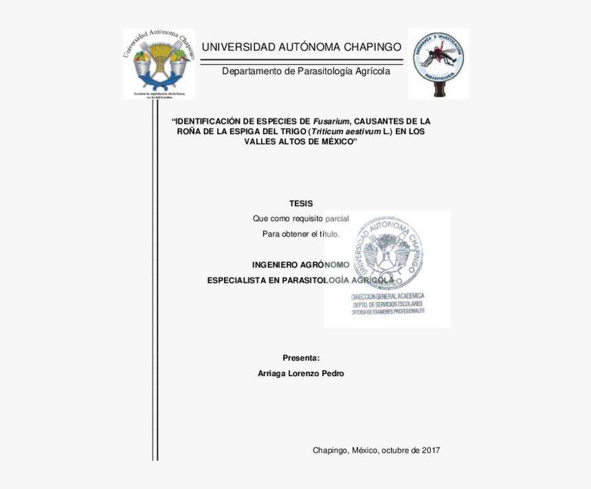 Document, HD Png Download