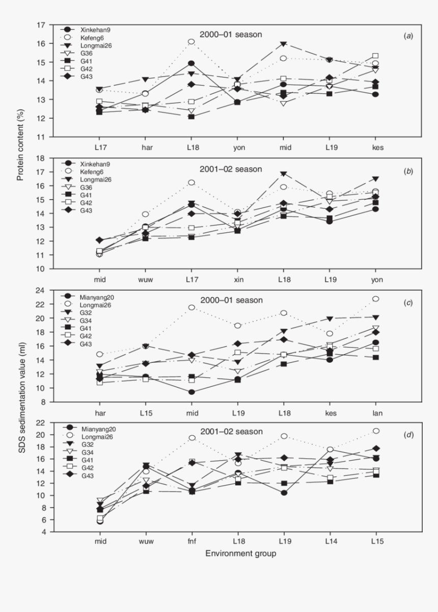 Document, HD Png Download
