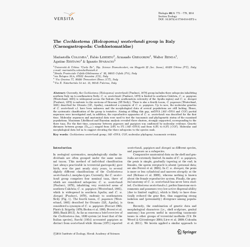 Transparent Renda Png - Η Πρωτη, Png Download