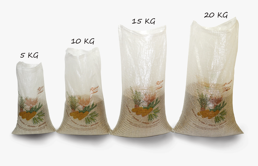 Sacstrigo - Lace, HD Png Download