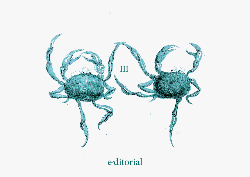 Dancing Crabs, HD Png Download