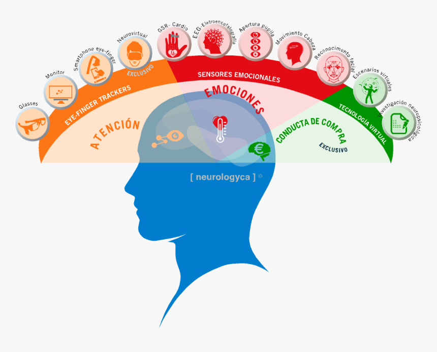 Respuesta Galvanica De La Piel Neuromarketing, HD Png Download