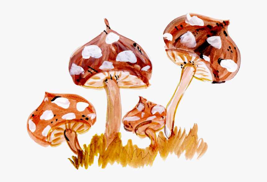 Illustration, HD Png Download