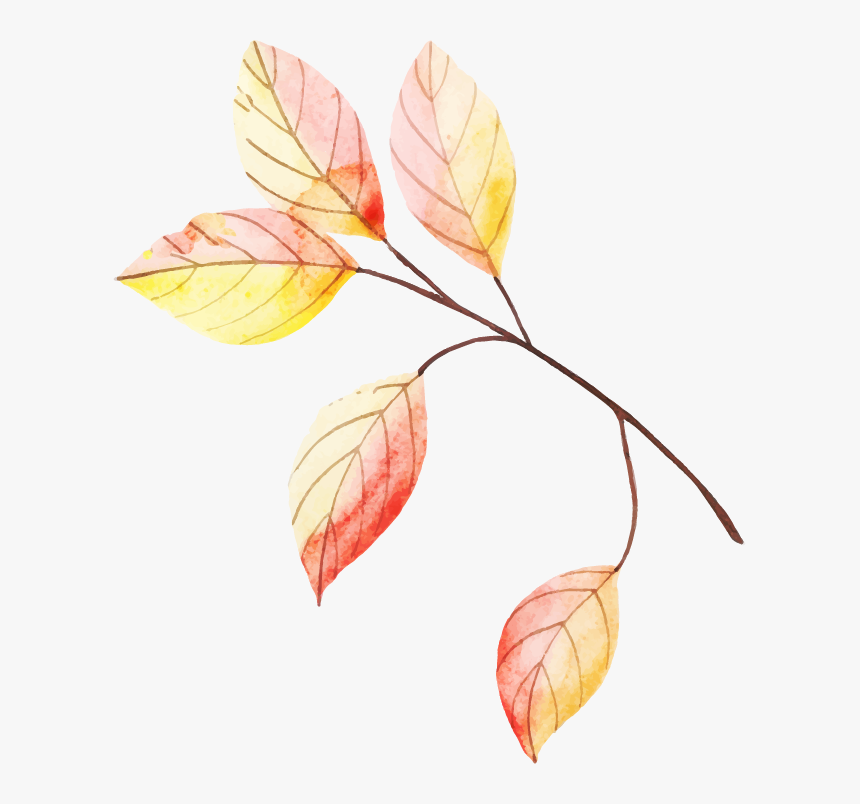 Autumn, HD Png Download