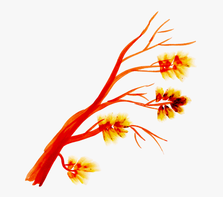 Illustration, HD Png Download