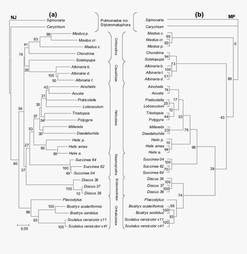 Document, HD Png Download