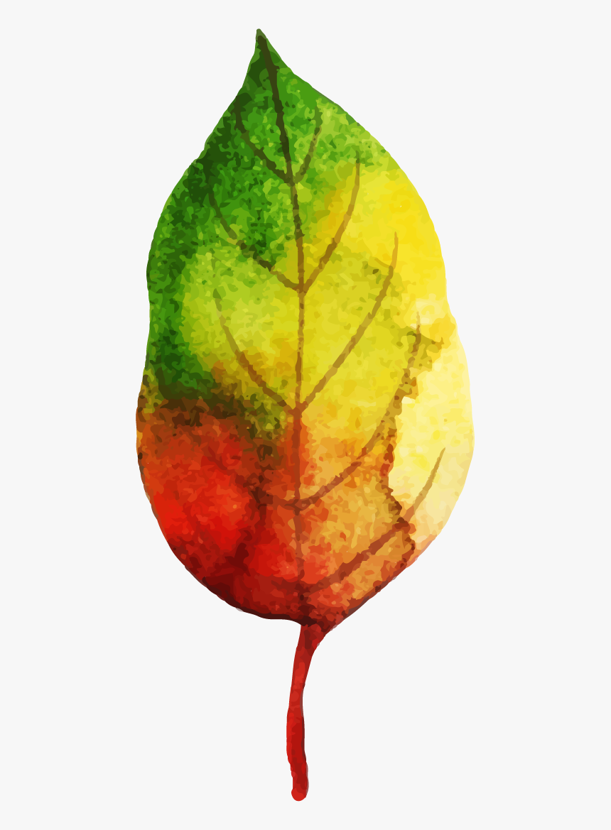 Visual Arts, HD Png Download