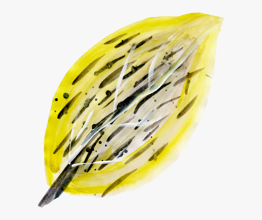 Cable, HD Png Download
