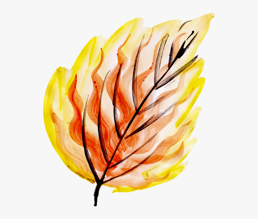 Illustration, HD Png Download