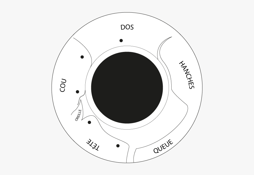 Swing Horse Tire Paper - Balancoire Pneu Cheval, HD Png Download