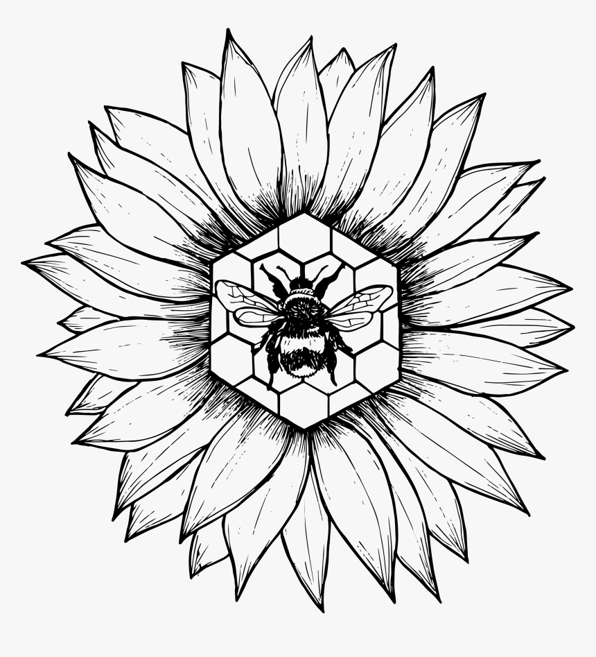 Sunflower And Bee Drawing, HD Png Download